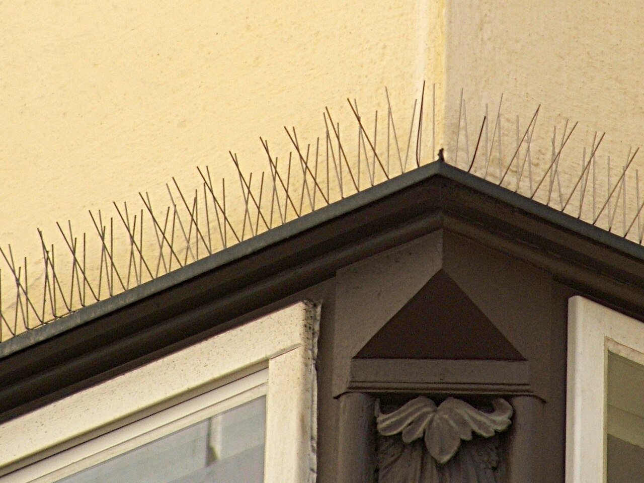 Parapet ledge bird deterrent spikes