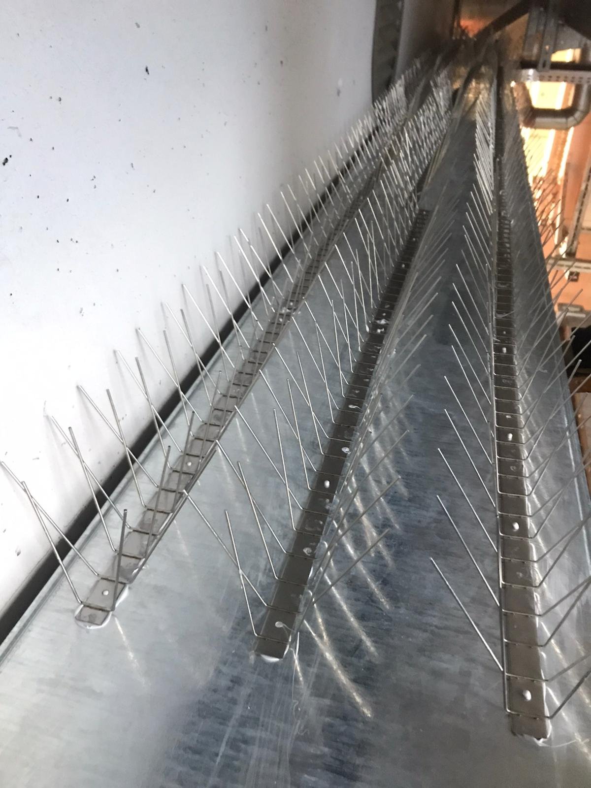 Bird Spikes